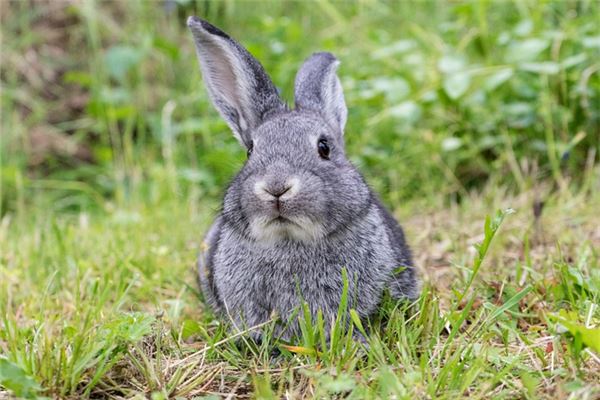 五格起名:吳瑜璟