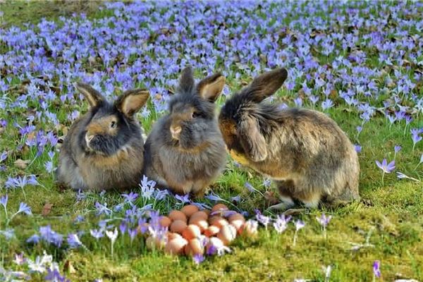 名字打分測試:吳中震