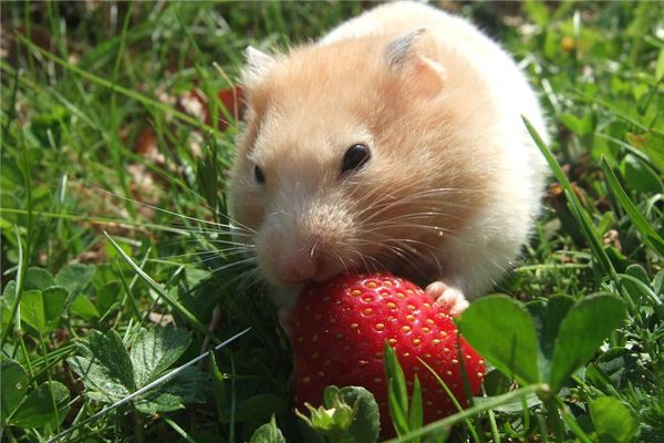 好聽的小名:吳憶遠