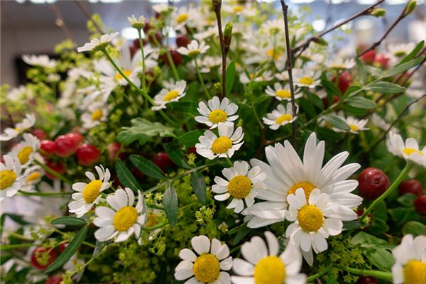 常萬年的姓名打分結(jié)果_常萬年的姓名五行分析