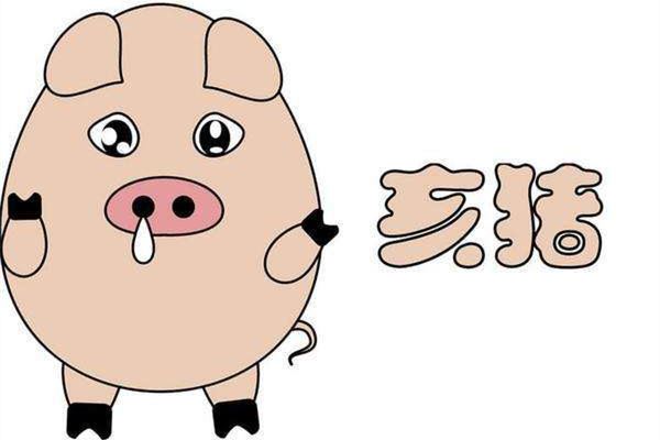 萬花茶的姓名打分結果_萬花茶五行分析