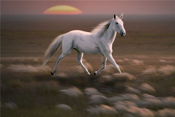 小孩起名:吳迎波