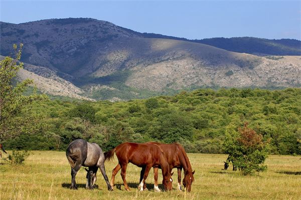 白素云的姓名打分結果_白素云的姓名五行分析