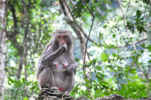 姓名得分_周施詩