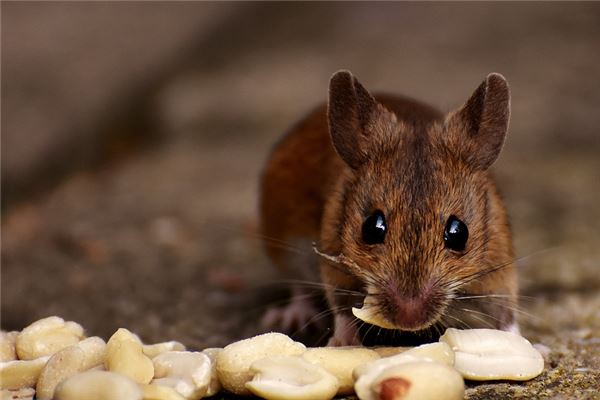 免費取名_孫楊哭