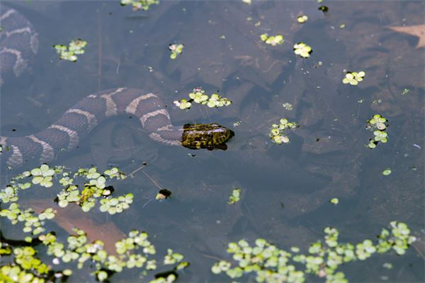 寶寶取名_2021適合女寶寶的名字大全