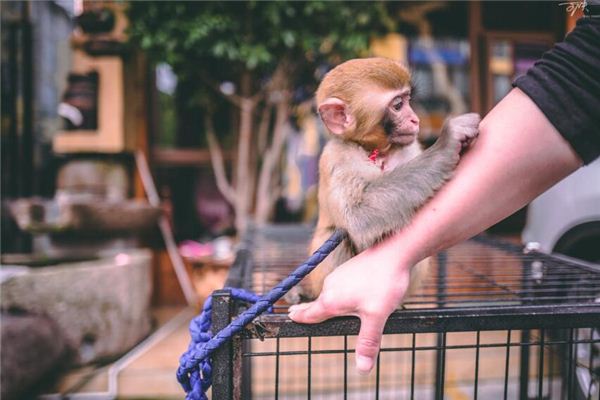 12個字母的英文名字  第1張