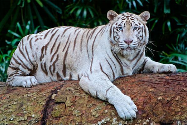 2021姓名取名技巧_男孩好聽有內涵的名字