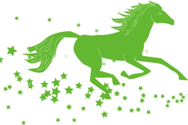 楊三妹的姓名打分結(jié)果_楊三妹五行分析