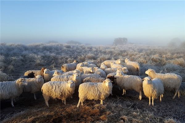 蘇貝泉的姓名打分結(jié)果_蘇貝泉五行分析