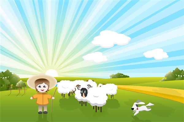 姓名五格分析:吳新月