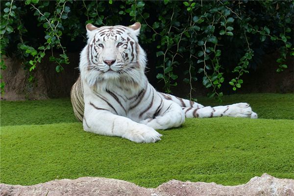 神武個(gè)性情侶名字