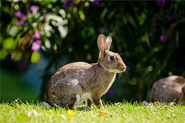 夢幻西游一男一女結拜名字