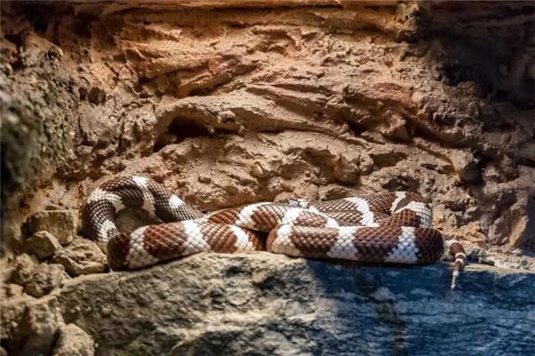 岳壯偉的姓名打分結果_岳壯偉五行分析