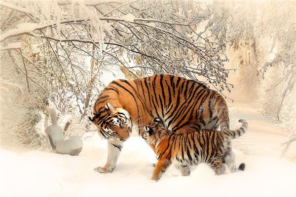 好聽的小名:吳虹雨