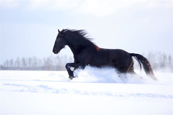 謝光祥的姓名打分結果_謝光祥五行分析