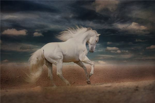 王雄誕的姓名打分結果_王雄誕五行分析