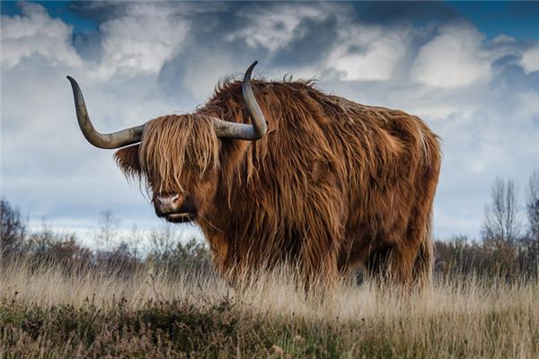 取名字打分:吳和煦