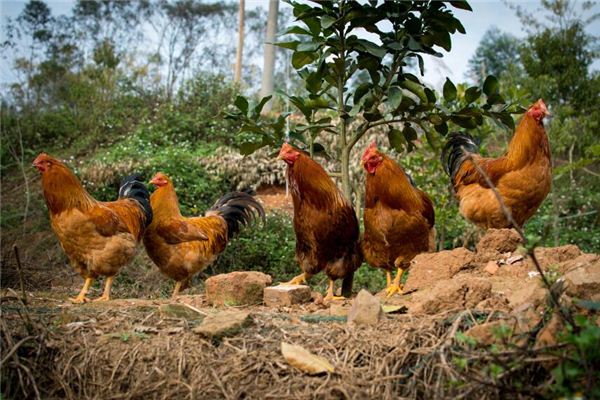 寶寶取名_小名創(chuàng)意新穎不要疊字