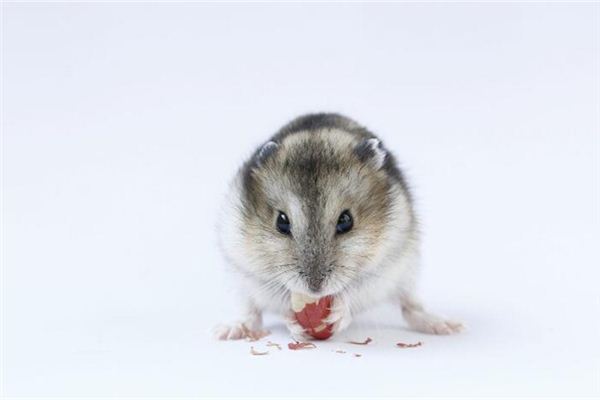 dnf男機械師名字