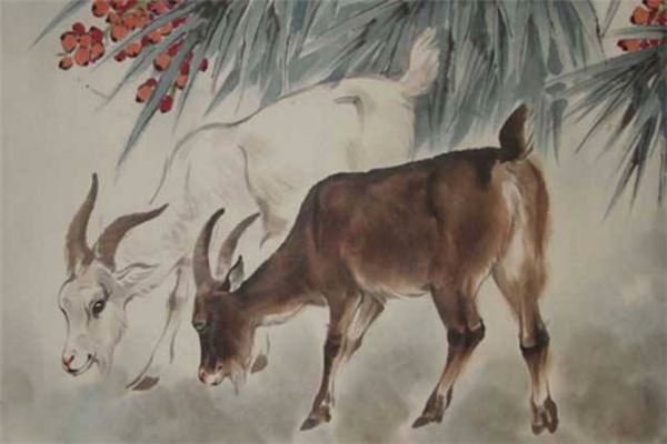 姓氏取名_孫爾蝶