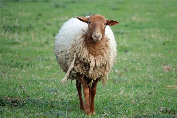 游戲起名_溫柔的名字