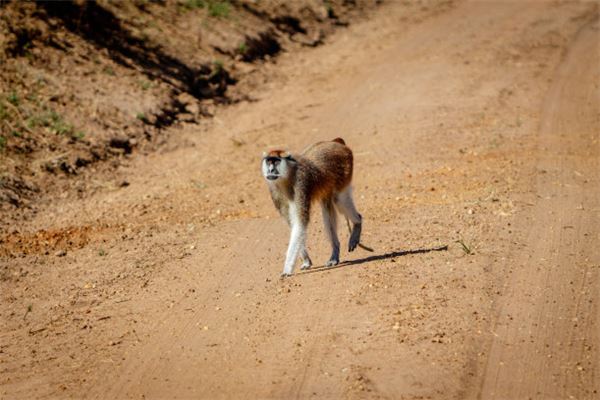 顧中發(fā)的姓名打分結(jié)果_顧中發(fā)的姓名五行分析