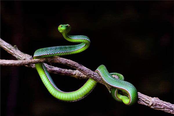 姓名得分測試_周平彤