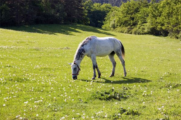 古懷璞的姓名打分結果_古懷璞的姓名五行分析