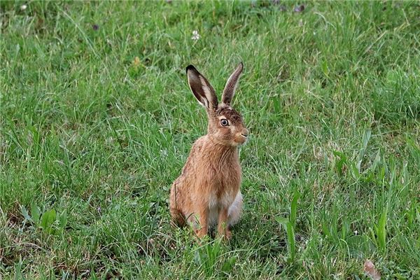 好聽的小名:吳菀菀