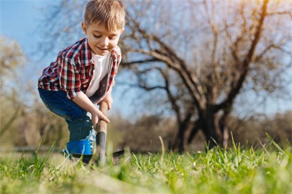符嘉超的姓名打分結果_符嘉超的姓名五行分析