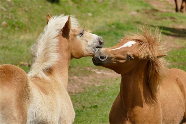 寶寶怎么取名_小女孩取名2130