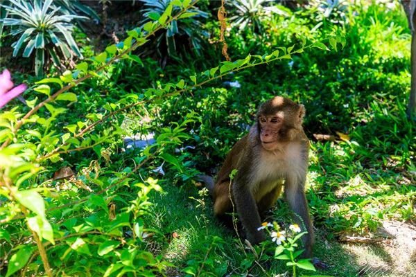 取名禁忌_好聽的男生英文名