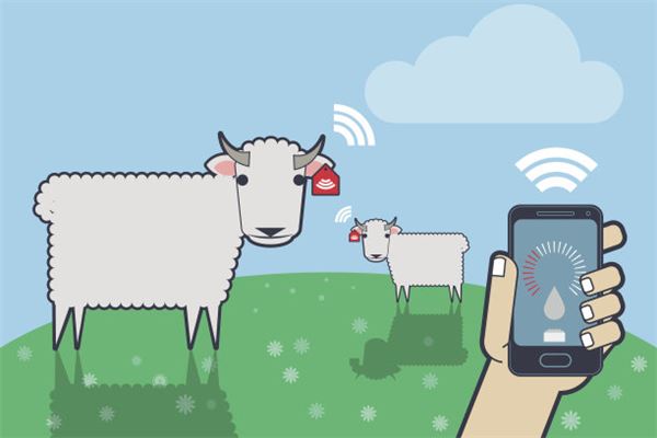 姓名五格分析:吳文昌