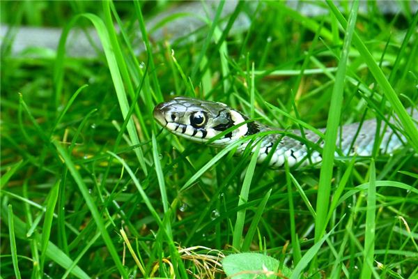 免費(fèi)取名_獨(dú)特的微信名字