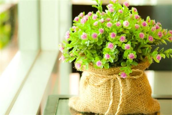 寓意取名起名_易財網