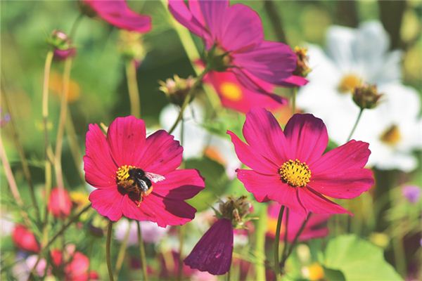 姓名得分測試_孫笑南