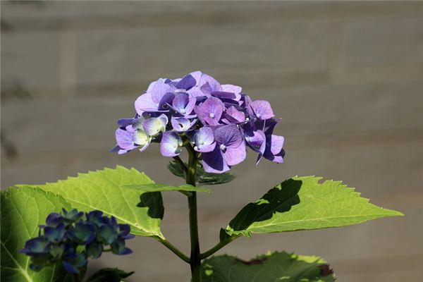 新生兒取名_周浦