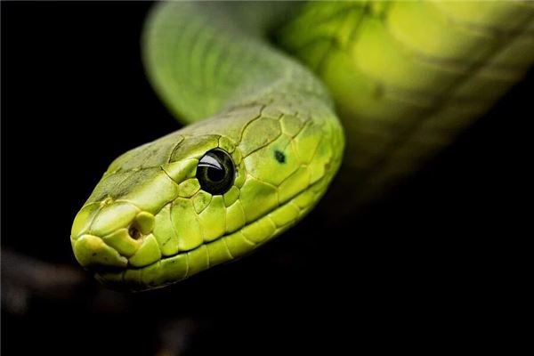 徐涅沙的姓名打分結果_徐涅沙五行分析