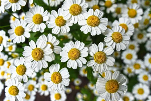 取名技巧_周歡欣