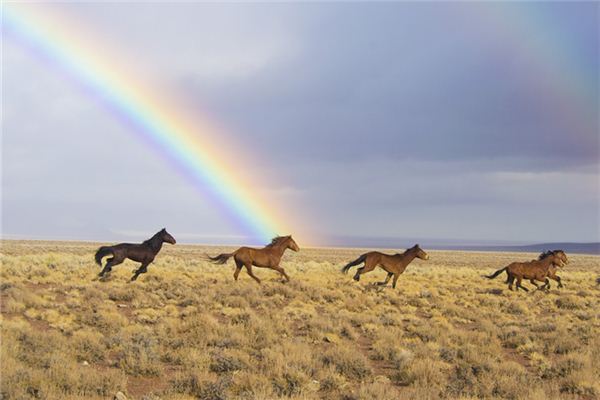 名字匯總  第1張
