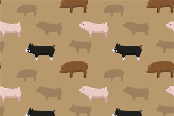 許青橋的姓名打分結果_許青橋五行分析