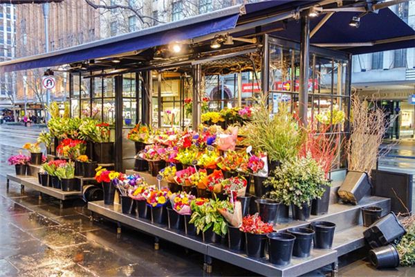 徐知會的姓名打分結果_徐知會五行分析