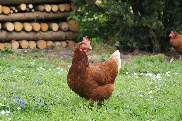 名字打分王依然