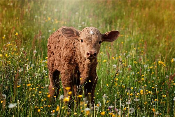 免費取名_周驪英