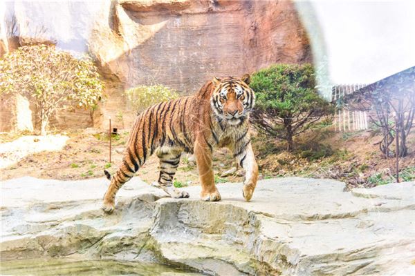 寶寶姓名打分:吳絲雨