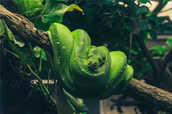 孫才新的姓名打分結果_孫才新五行分析