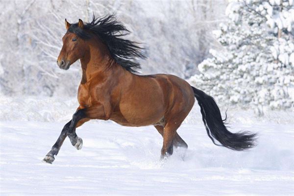 杜金輝的姓名打分結果_杜金輝的姓名五行分析