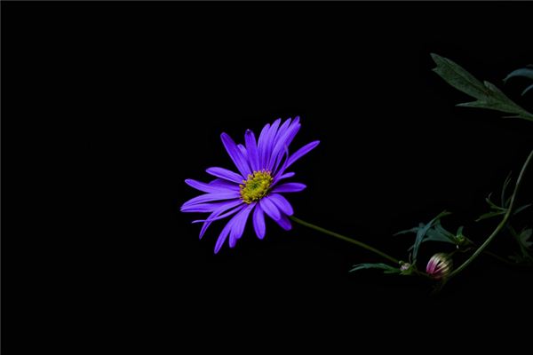 名字打分測(cè)試:吳謐