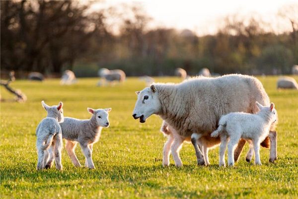 游戲起名_周浩大